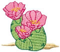 Beavertail Cactus 