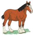 Sm. Clydesdale* 