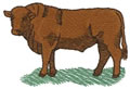 Red Angus* 