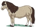 Sm. Shetland Pony