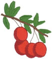Cranberries*