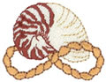 Nautilus Shell*