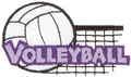 Volleyball Logo 