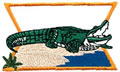 Alligator*
