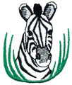 Zebra Head 