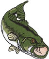 Largemouth Bass 